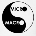 macro micro
